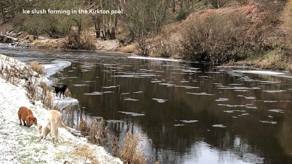 Winter on the river