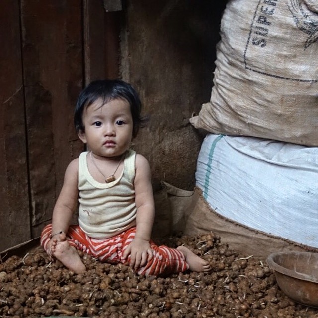 baby-surabaya-market.JPG