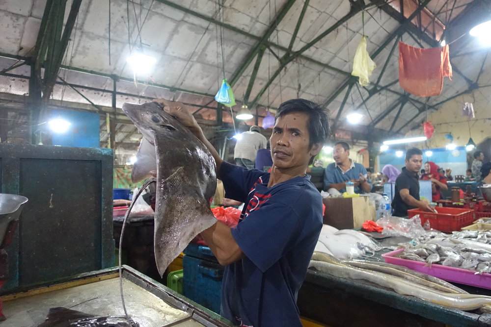 surabaya-fish-market.JPG