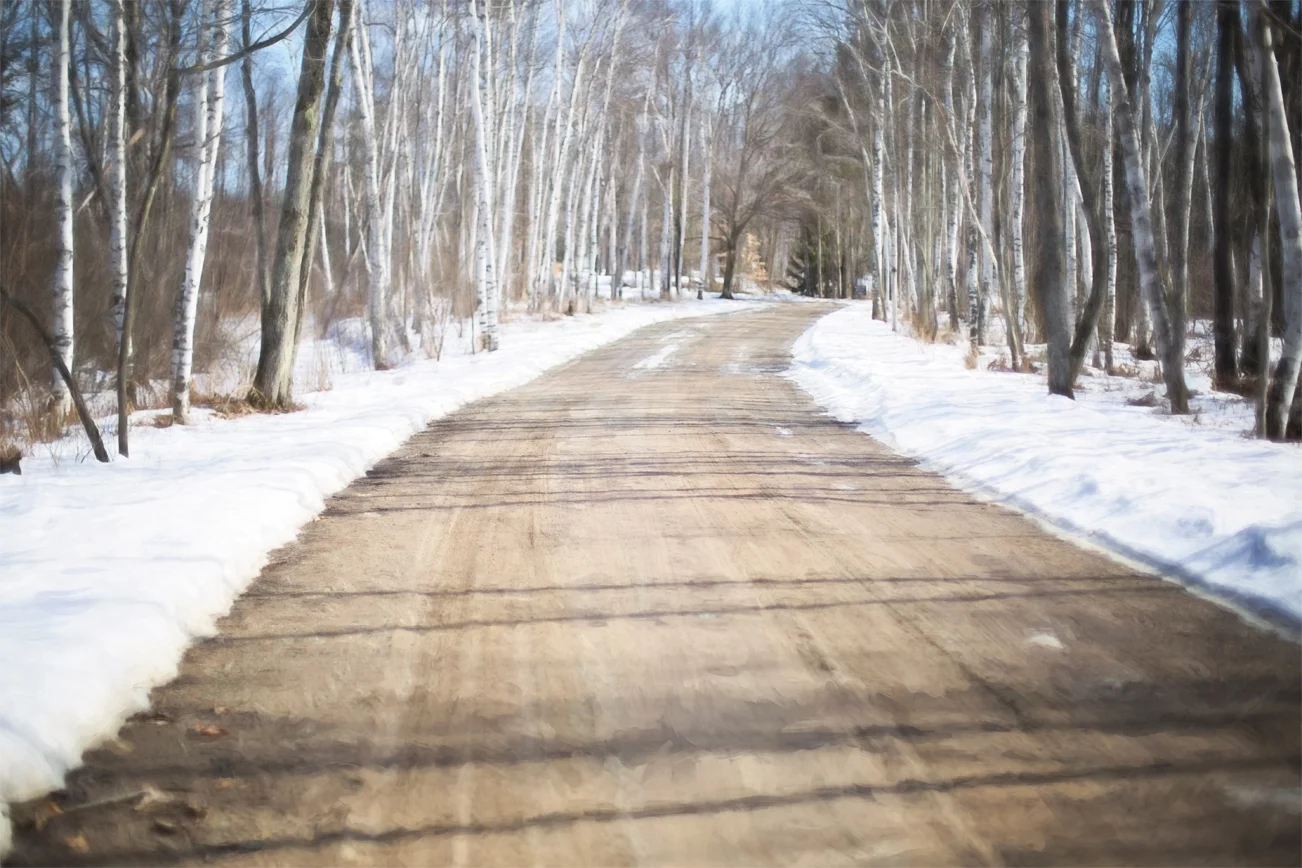 winter road.jpg