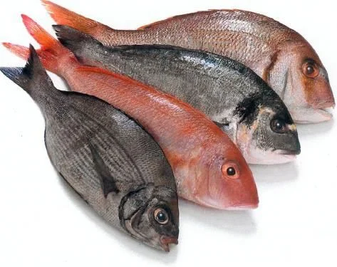 Eat-Fish-Every-Week-300x237@2x.jpg