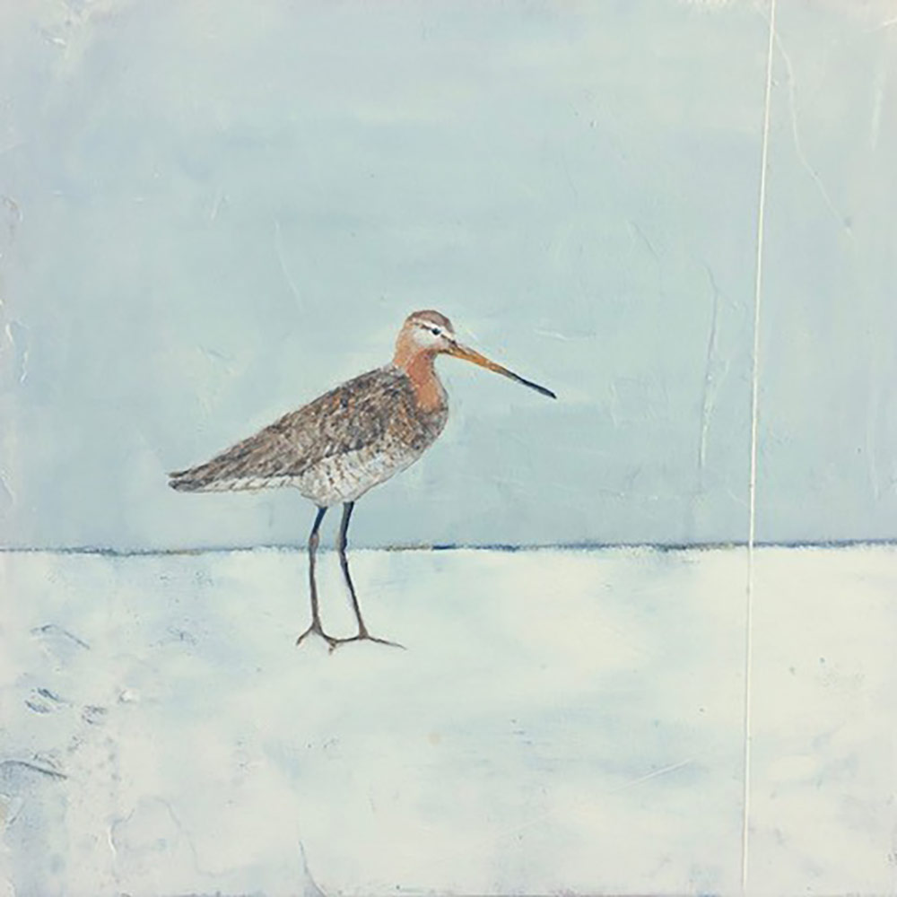 Jane-Skingley-Coastal-Bird-4-Snipe-Oil-on-board-30-x-30cm.jpg