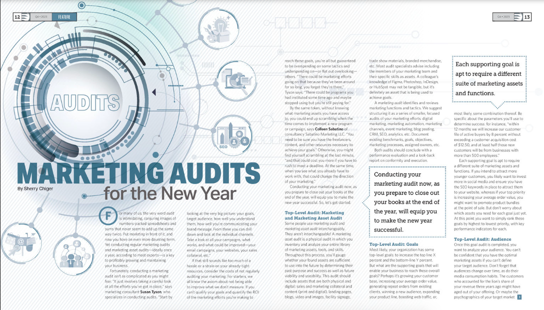 "Marketing Audits for the New Year" (The CMO Team)