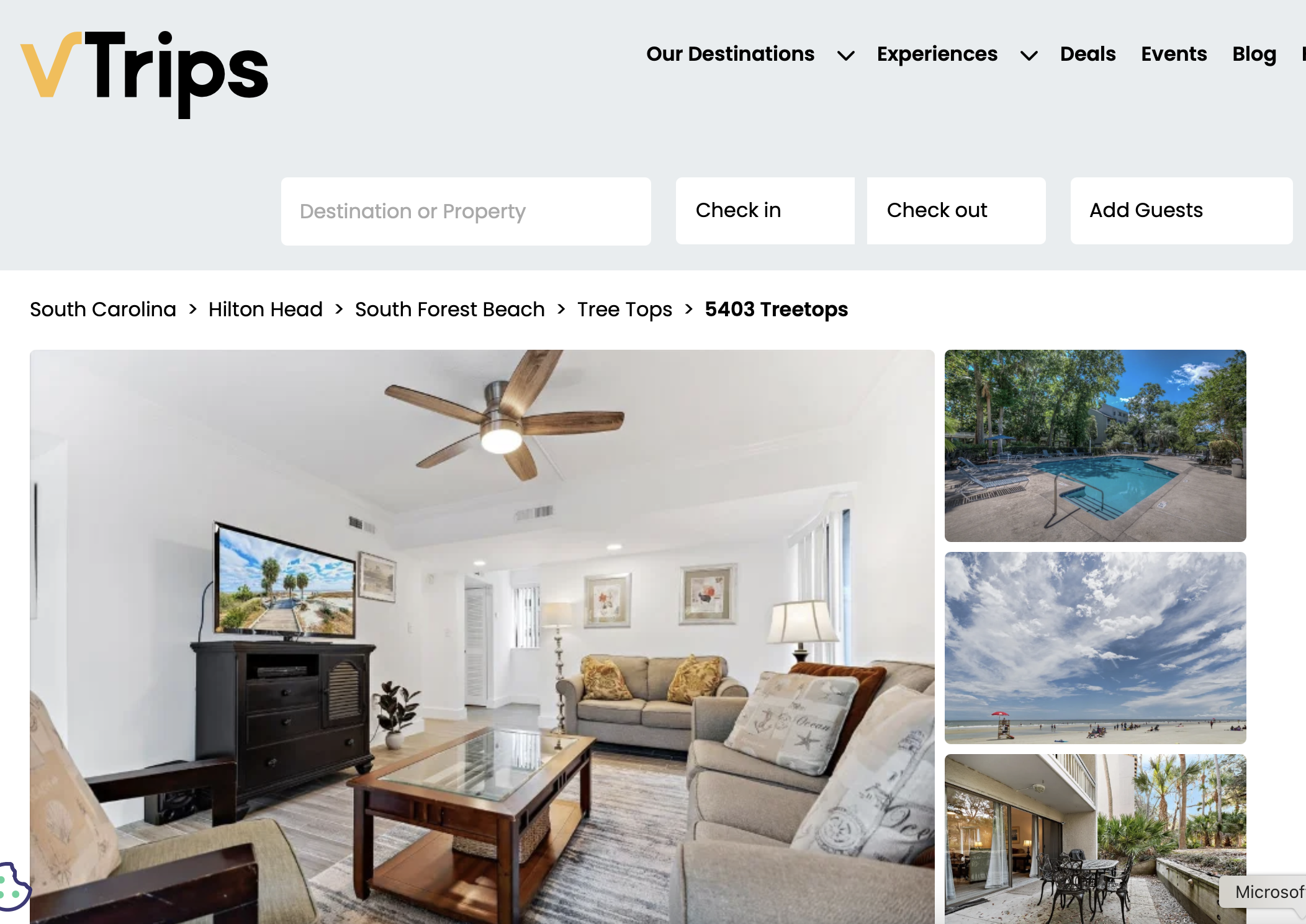 Product Description (VTrips)