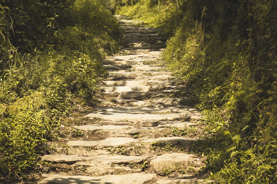 "Look deep into Nature, and then you will understand everything better." A.Einstein.