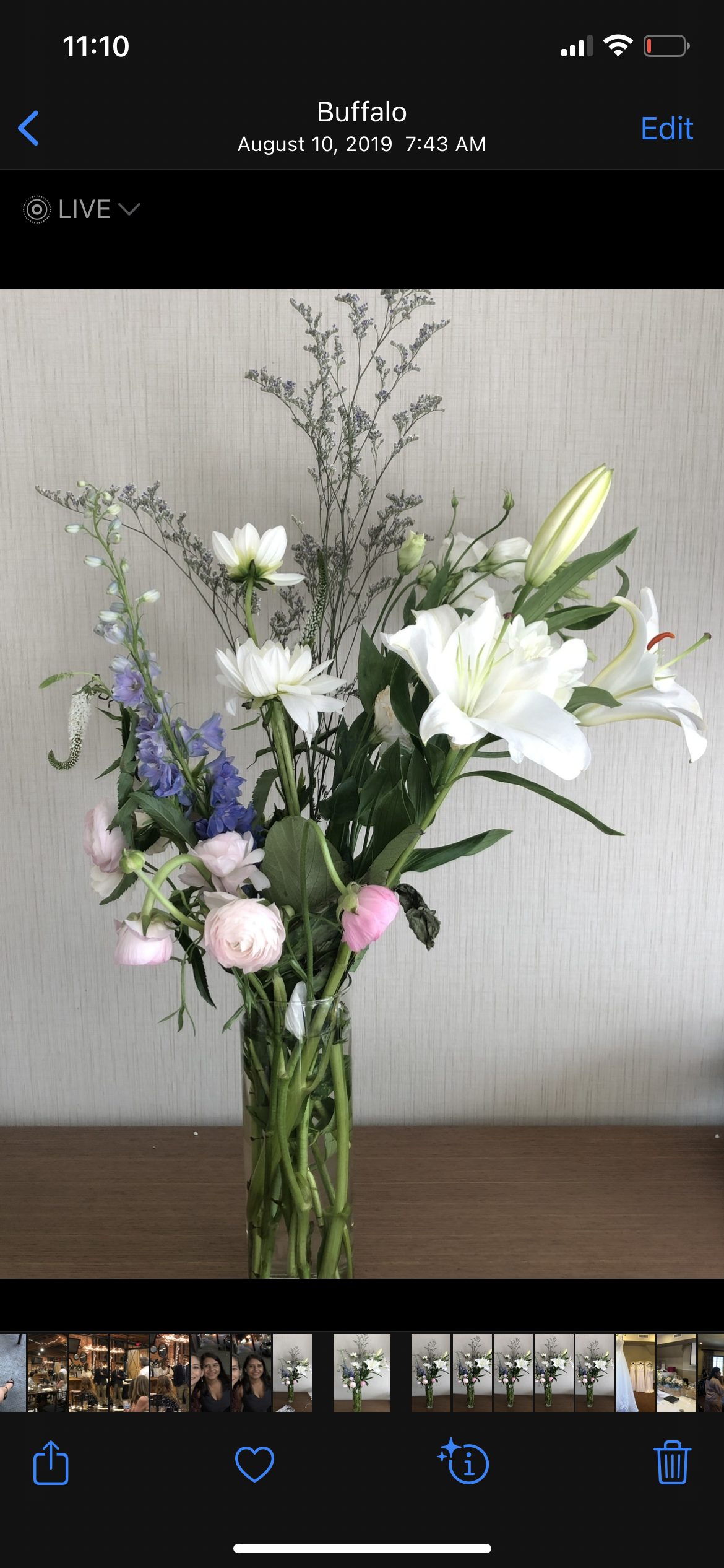 IMG_5946.PNG