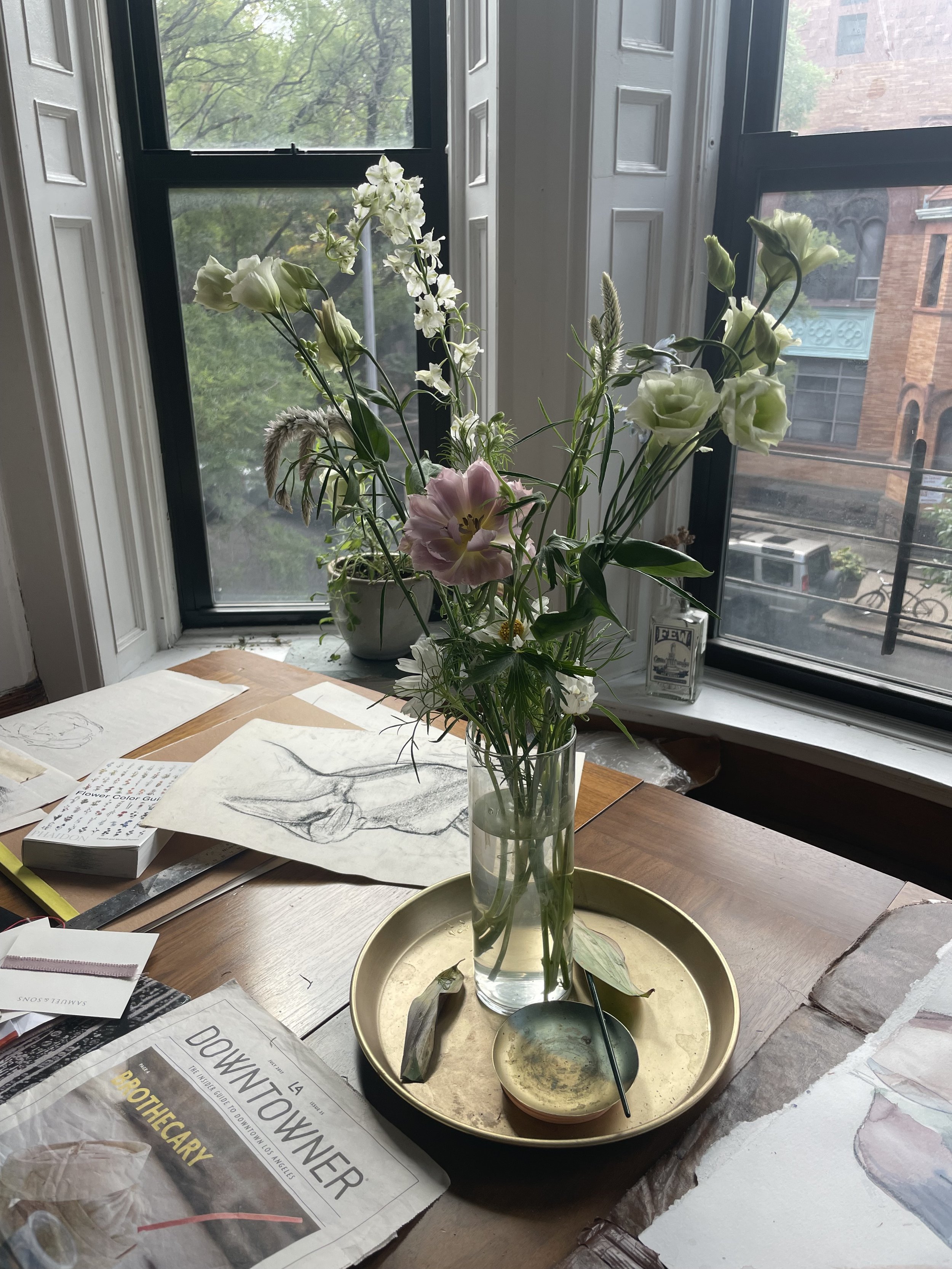IMG_5600.jpeg