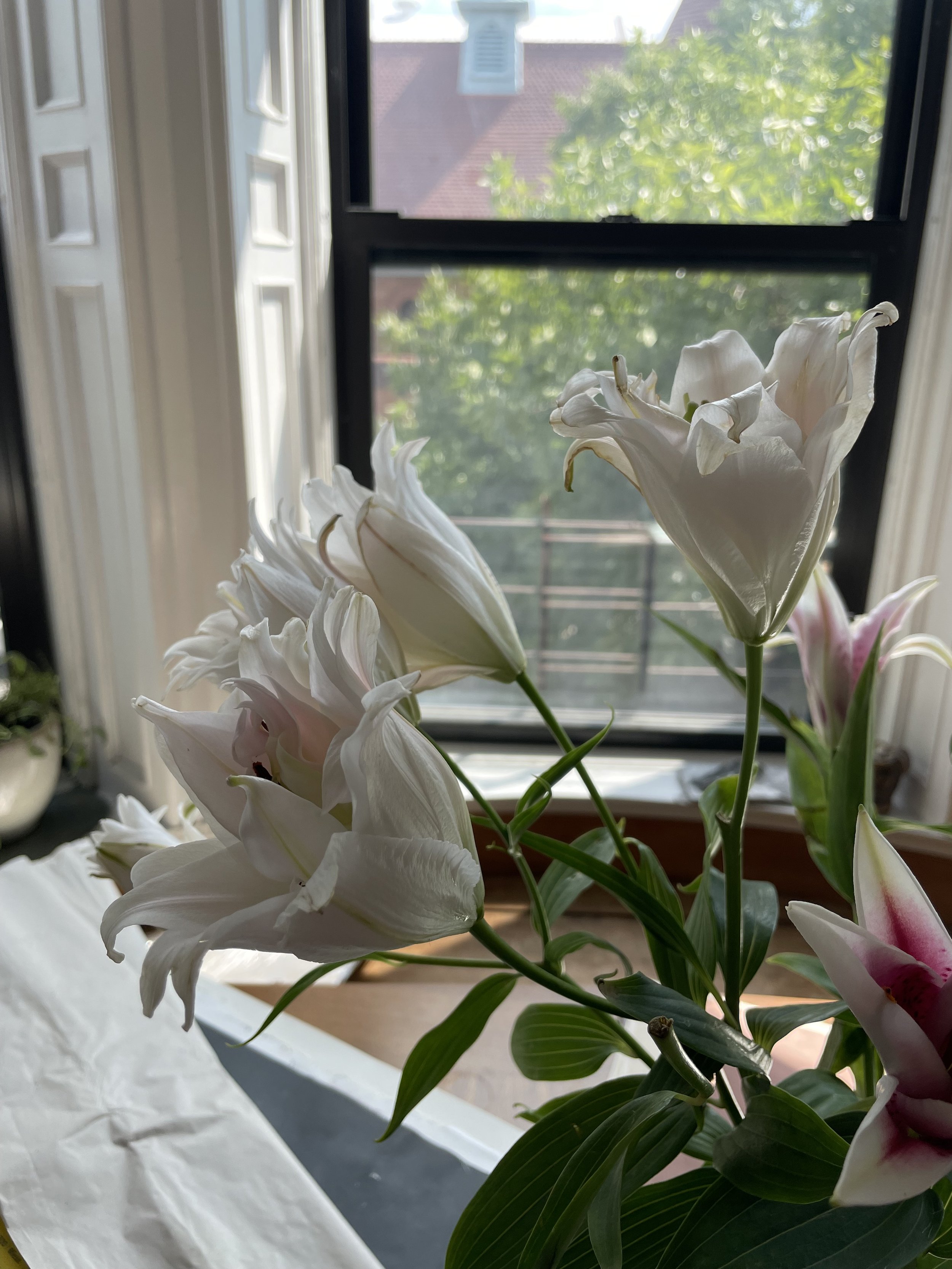 IMG_6007.jpeg