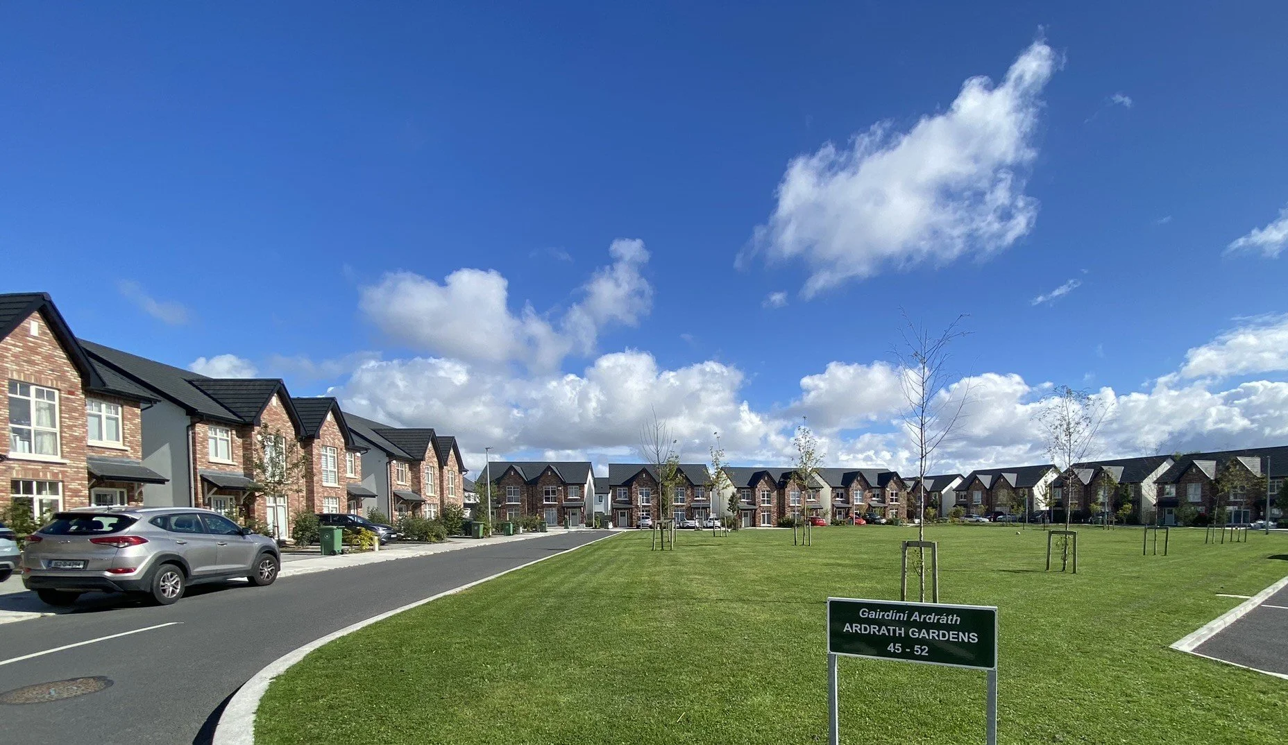 IMG_5204 cropped.JPEG