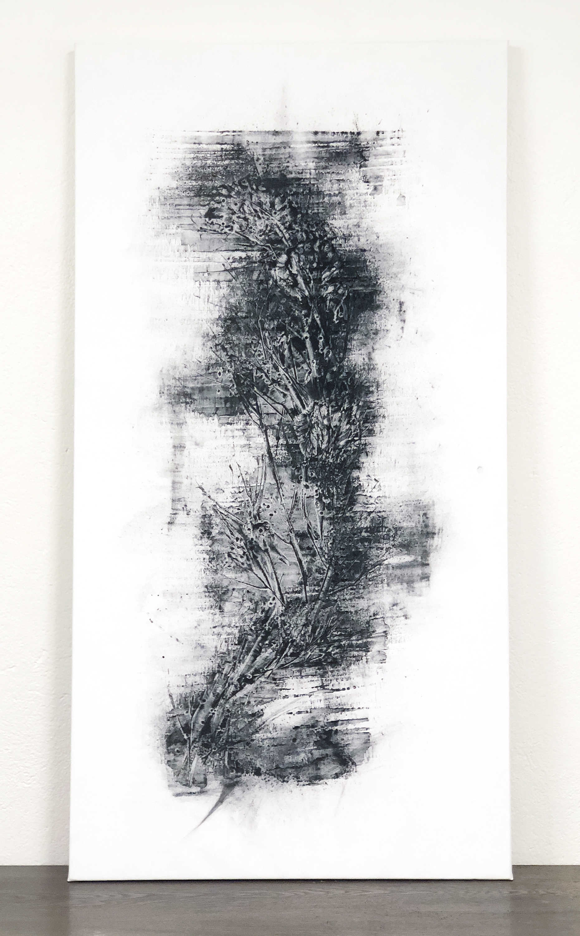 Organism 1,    Kol på duk, 73 x 140 cm, sensommar 2018, 