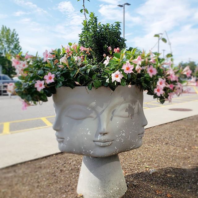 Getting ready to bloom some minds 🌸🌸 tonight  @featherwild_life and I dive into Human Design.(You can still register for the free virtual event though my prof!) I've been channeling the energy of each design type, a little experiment for myself, bu