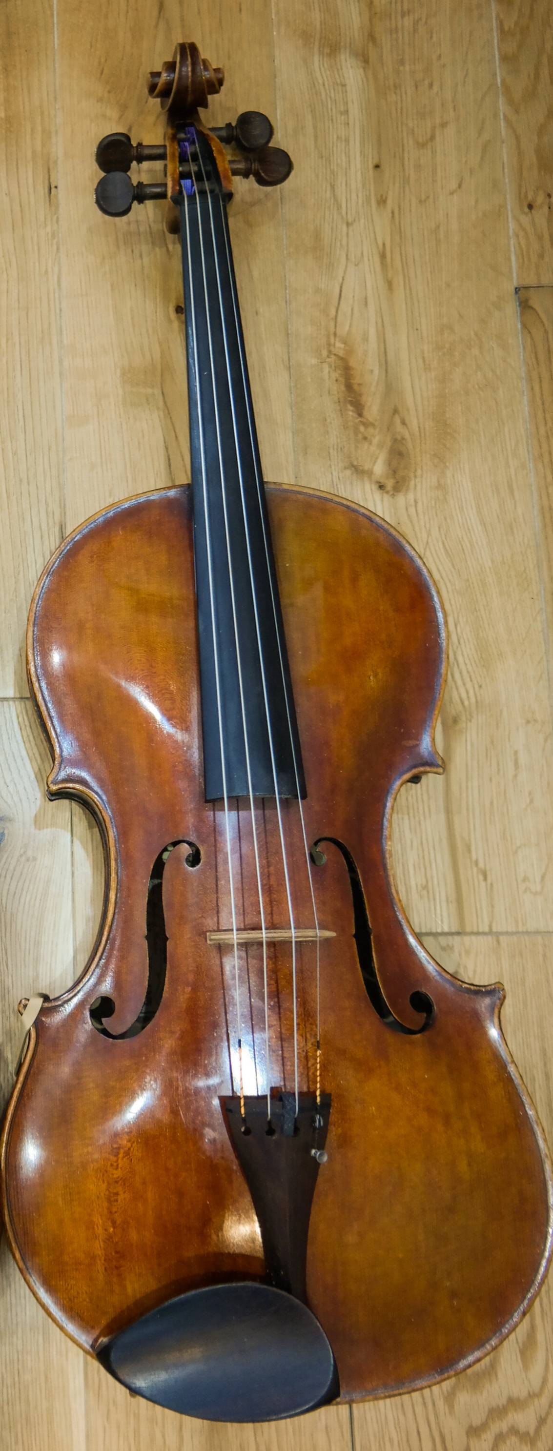 The Viola itself - a 1995 David Milward instrument, 17" back length.