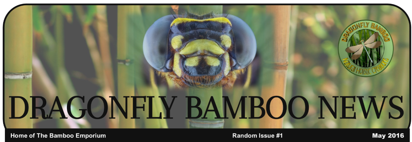 Dragonfly Bamboo Newsletter - May 2016