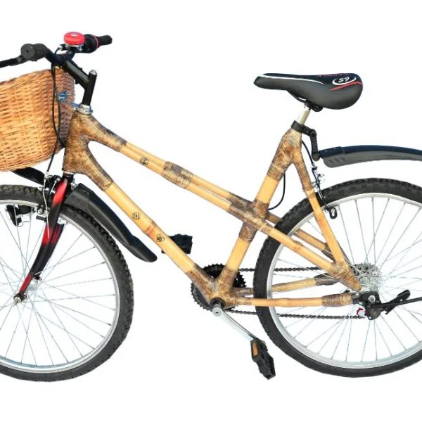 Women's Bamboo Mountain Bike w/Diagonal Stays