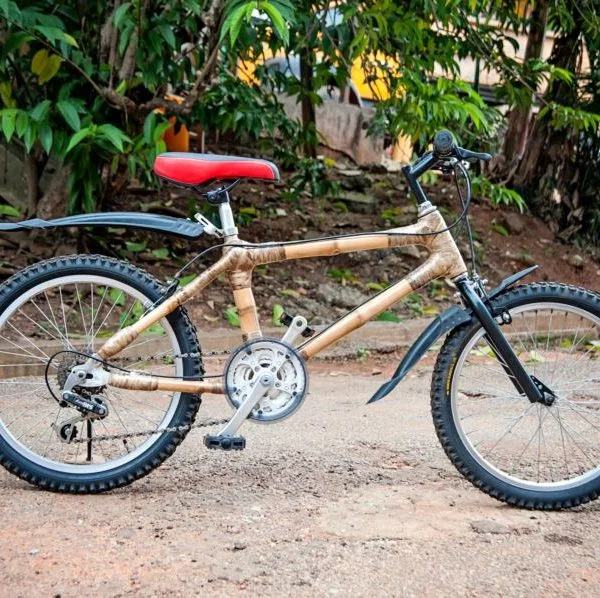 Bamboo Kids Bike