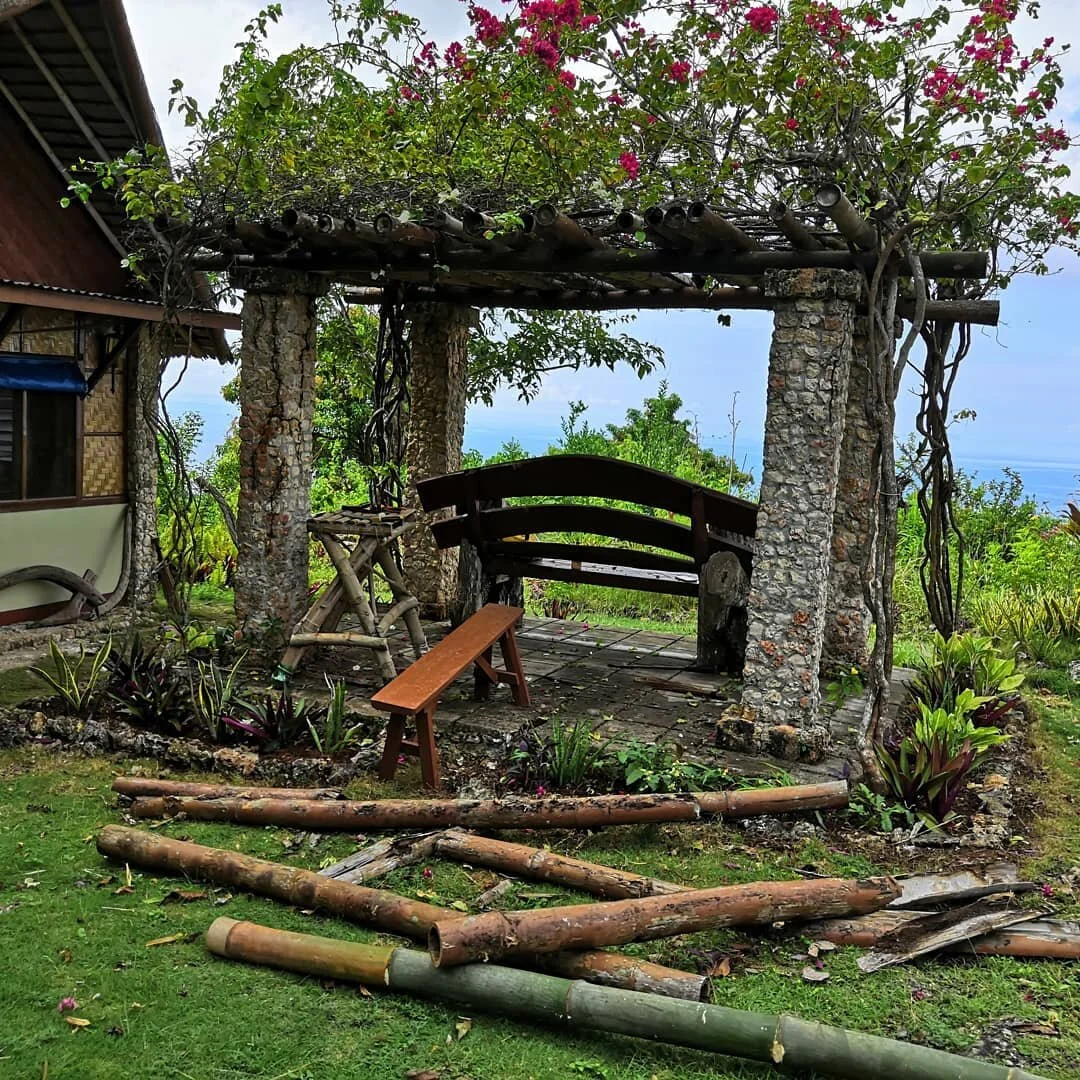 Replacing old untreated bamboo.