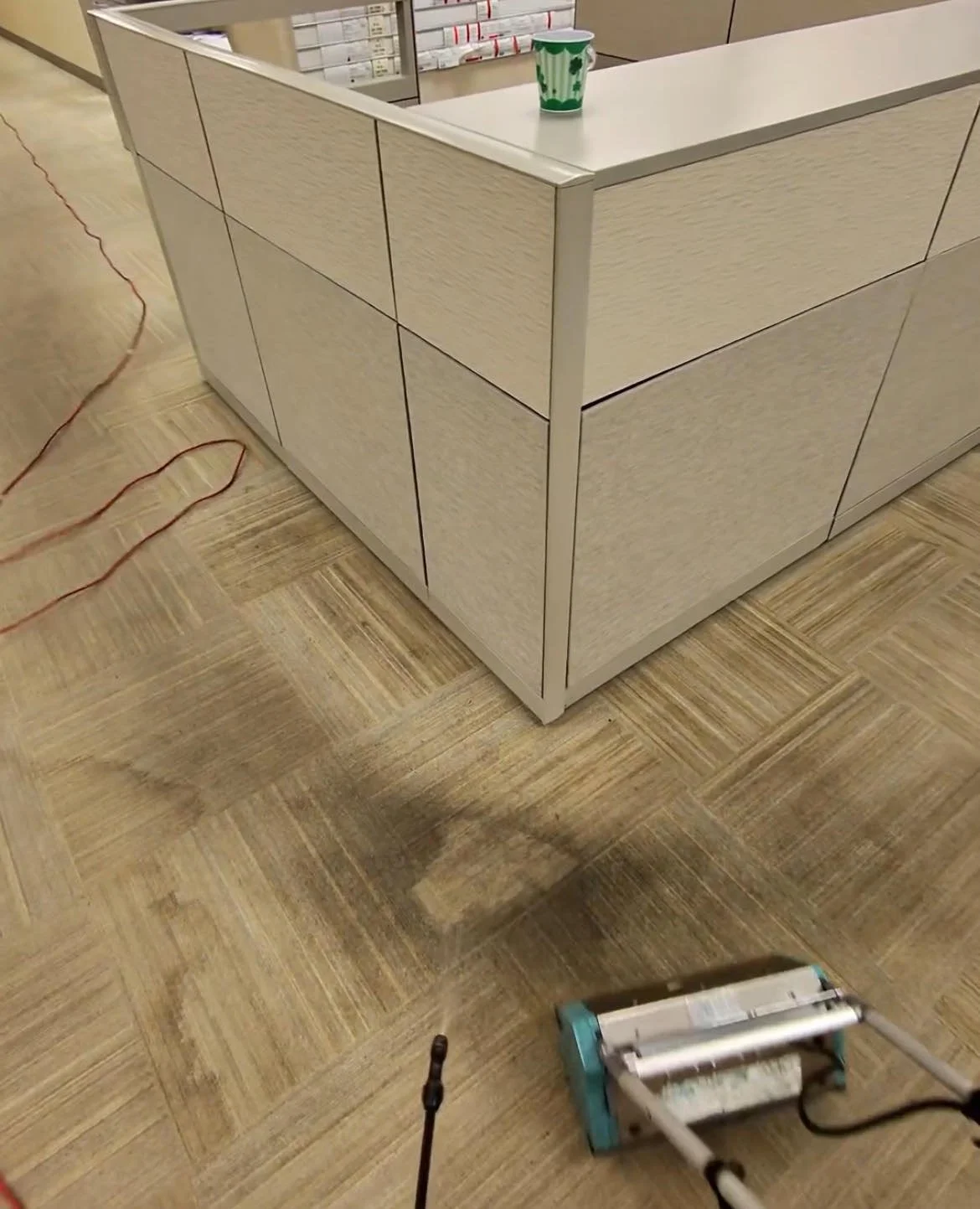 Commercial Carpet Cleaning - Roseville, Michigan