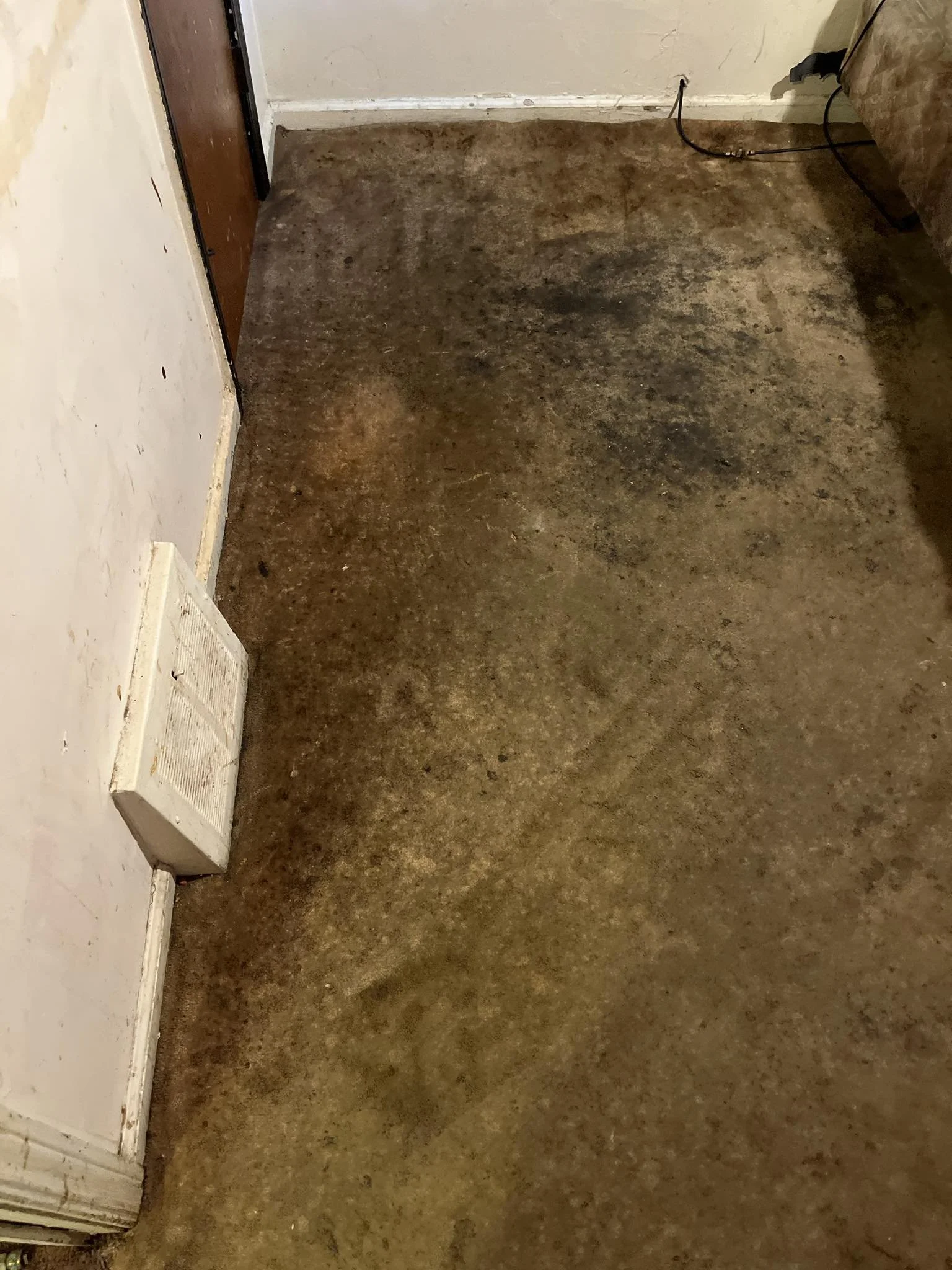 Triple Deep Clean - Detroit, MI