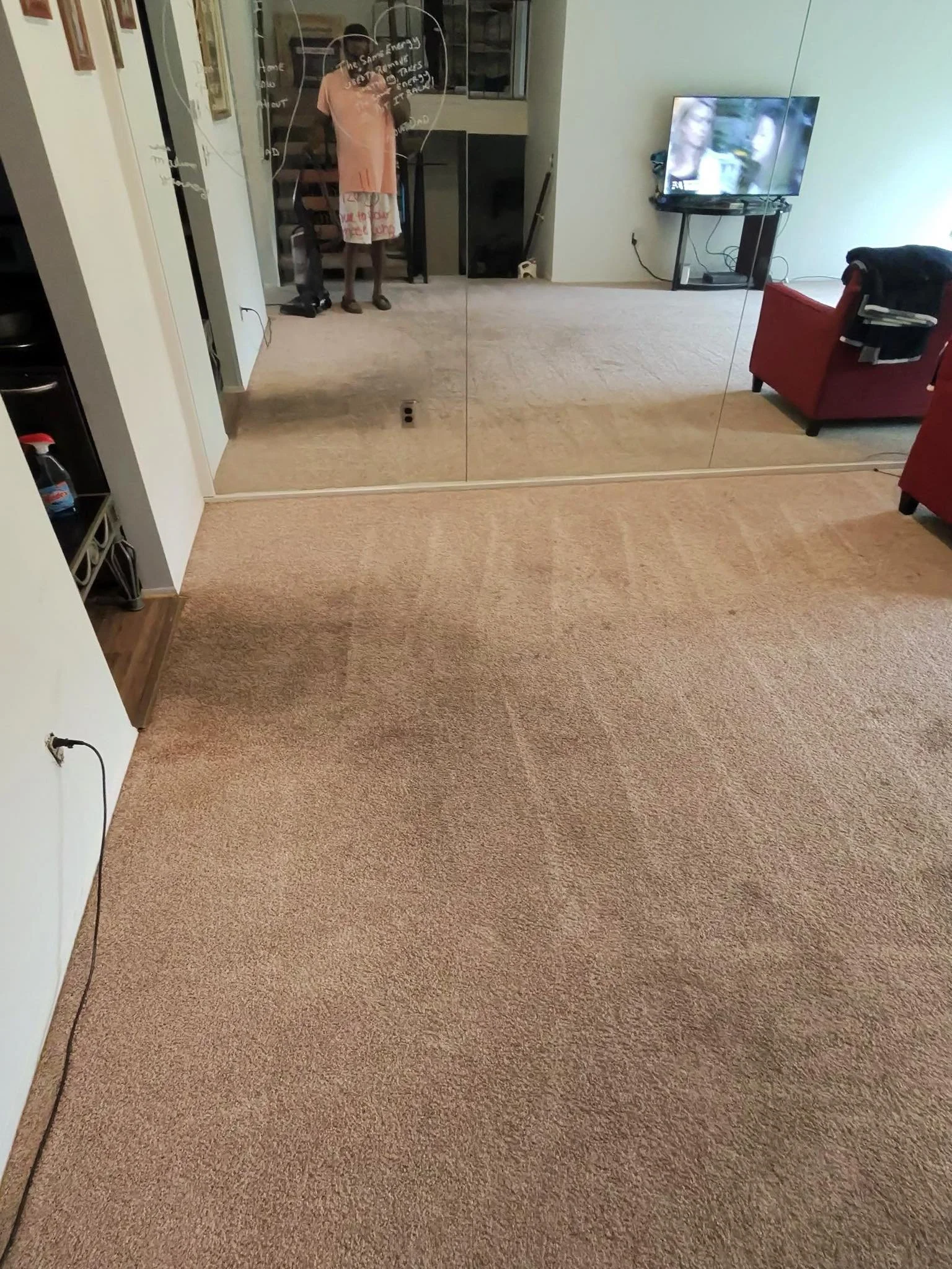 Triple Deep Clean - Southfield, Michigan