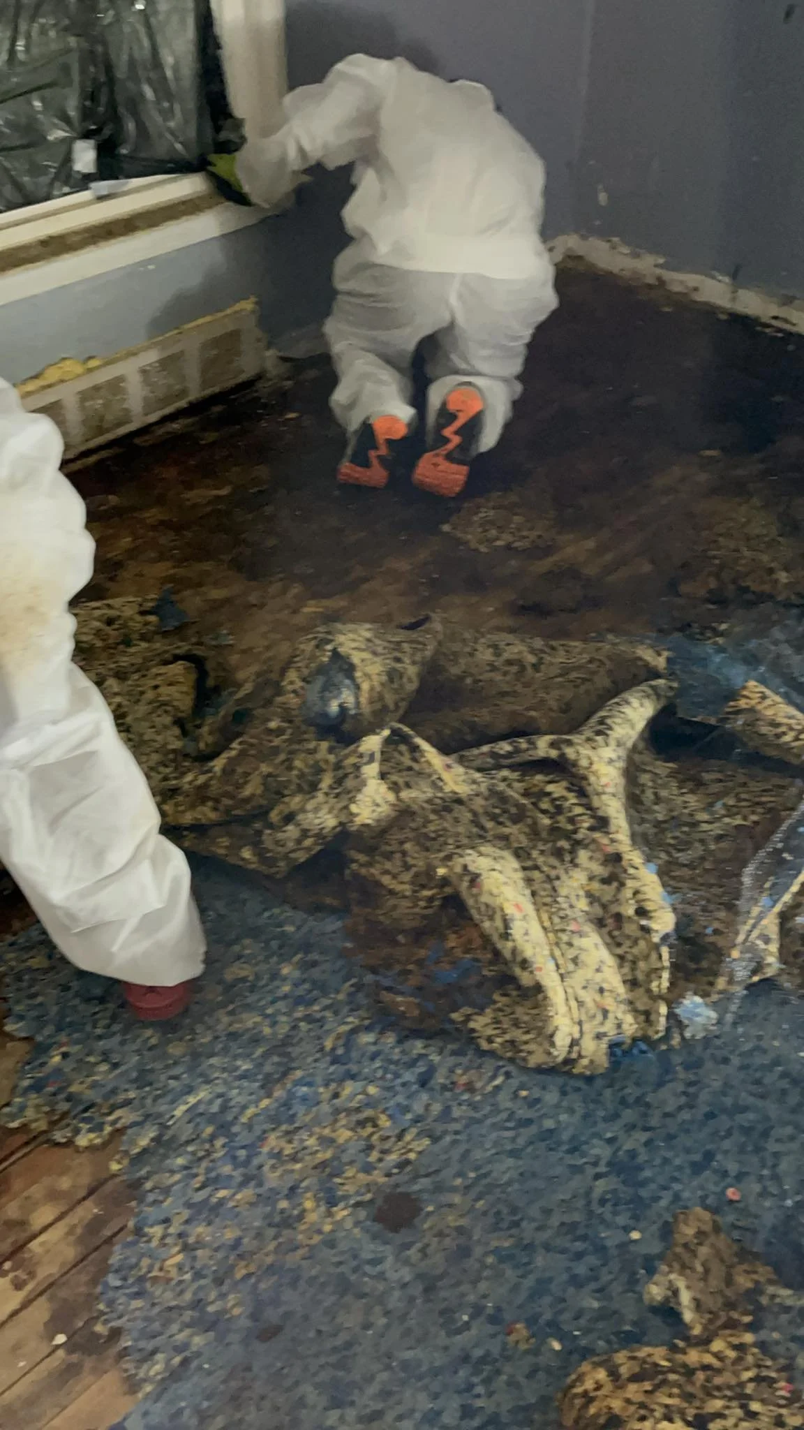 Carpet Removal - Detroit, Michigan