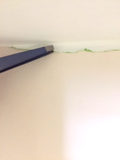 Remove any hard-to-reach leftover FrogTape with tweezers.