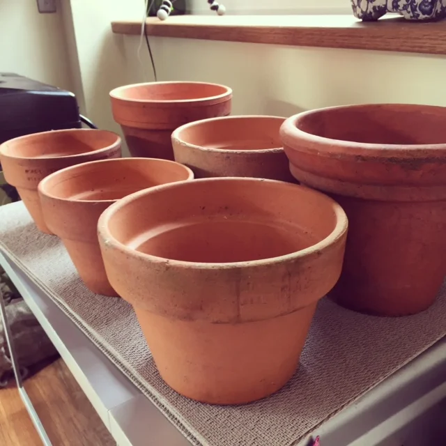 If dirty, wash your pots and let them dry out fully. (I did this a few days beforehand.)