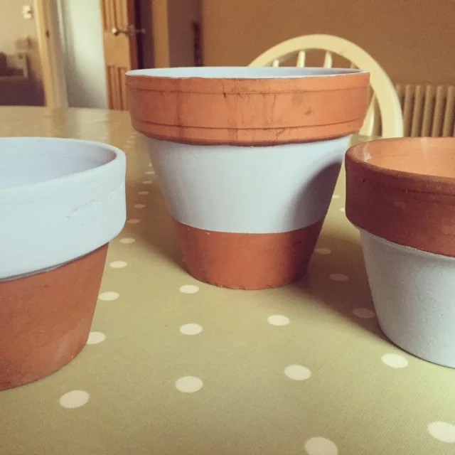 Final result! I couldn't wash off all the outdoor markings from the terracotta but I think this keeps them looking authentic.