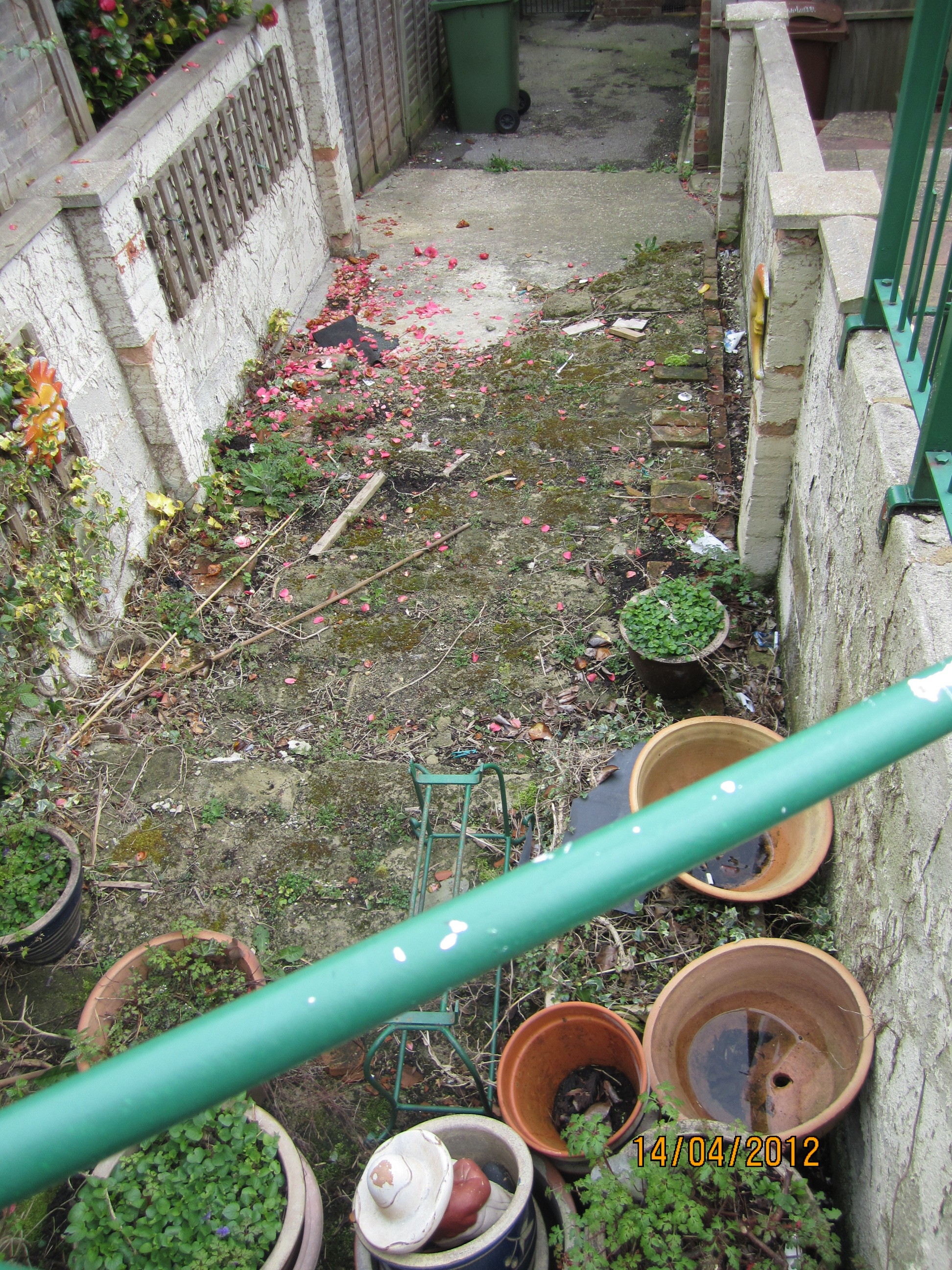 garden-overgrown.JPG