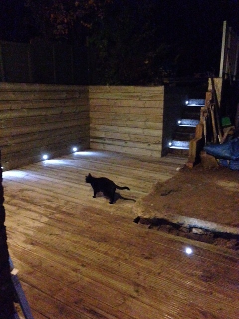 mog-on-decking.JPG