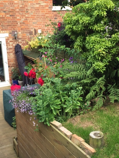 decking-flower-beds.JPG