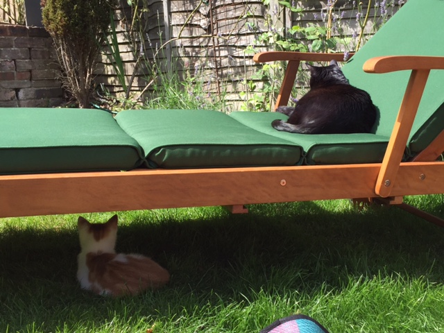 garden-lounging.JPG