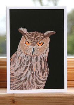   Quirky   Why not add some owl? - I would hang this in a living room, dining room, hallway or study.    £2.99, Not on the High Street.   