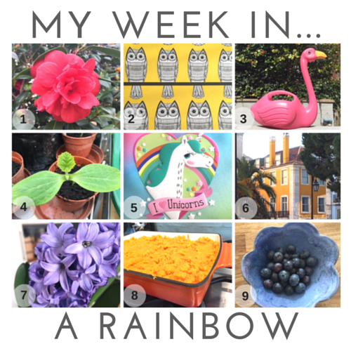 my-week-in-a-rainbow.png