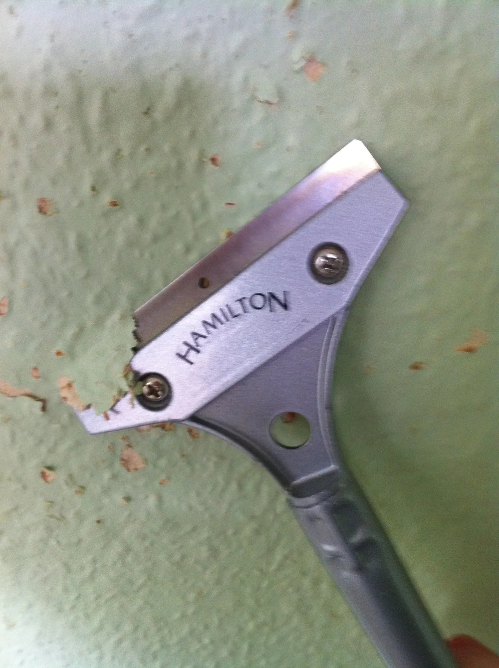 removing-the-woodchip.JPG