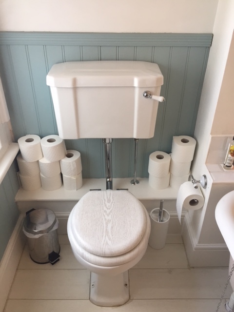 toilet.JPG