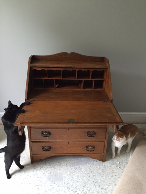 Take your piece of furniture... (the cats decided to model the 'before' photo).
