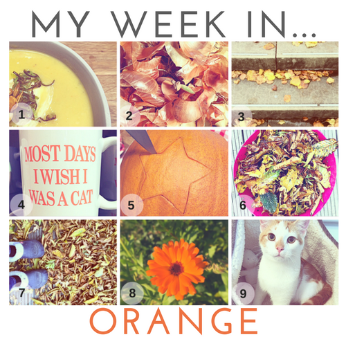 my-week-in-orange.png