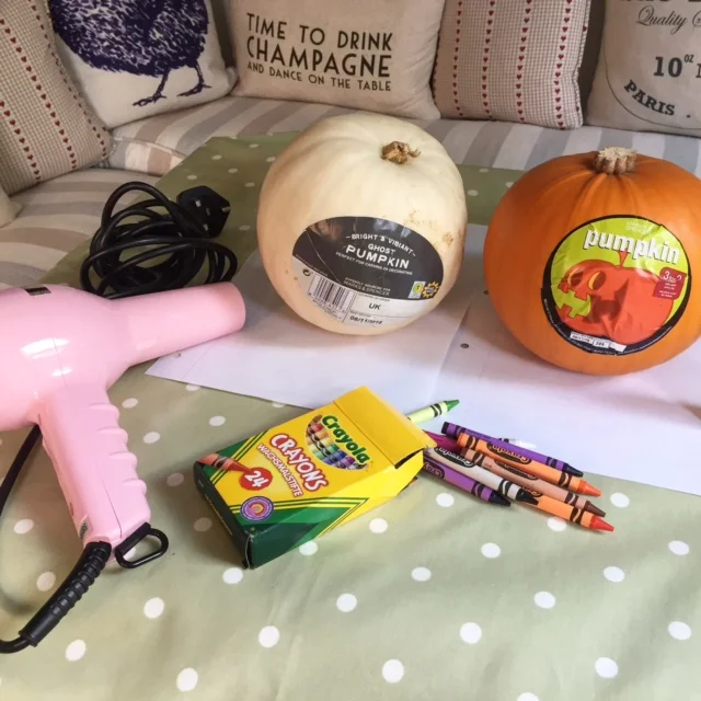 Initial tools - before replacing the hairdryer with a kitchen blowtorch and popping some foil on the stalk to prevent burning.