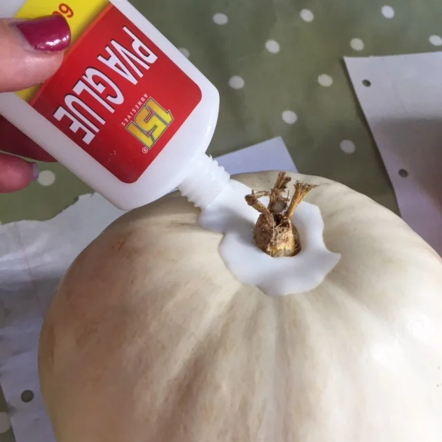 Add PVA glue to the top of the pumpkin.