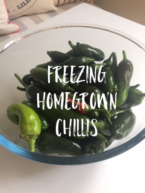 freezing-chillis.jpg