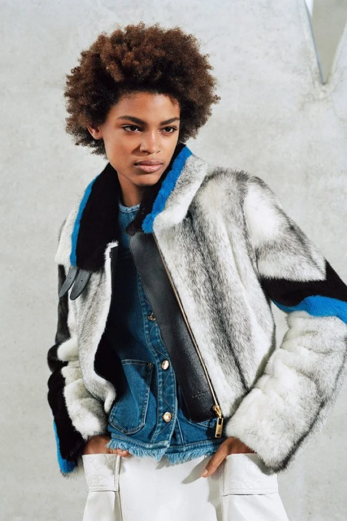 Louis-Vuitton-PreFall-2017- (10).jpg