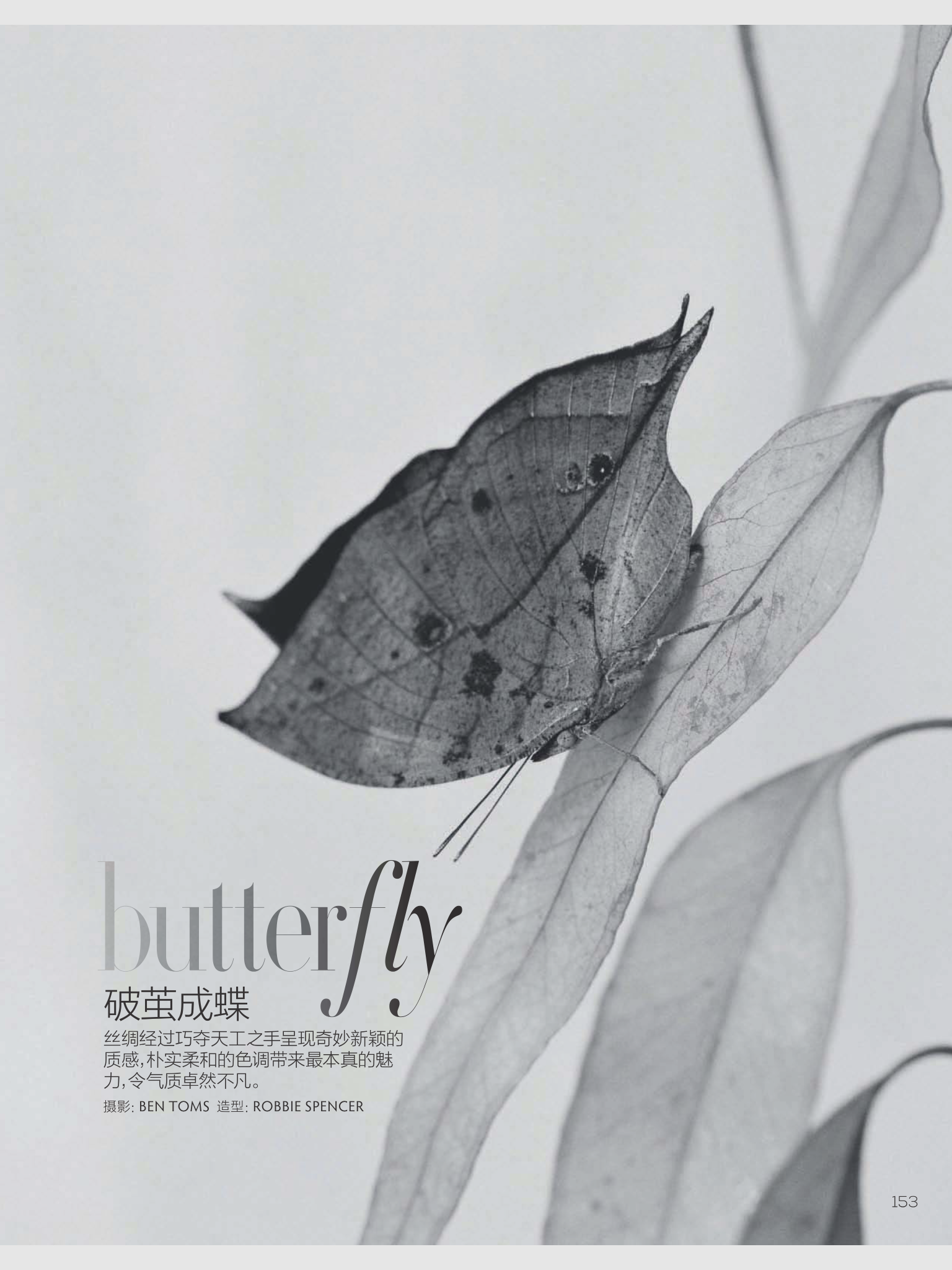 Butterfly-Ben-Toms-Vogue-China- (4).png