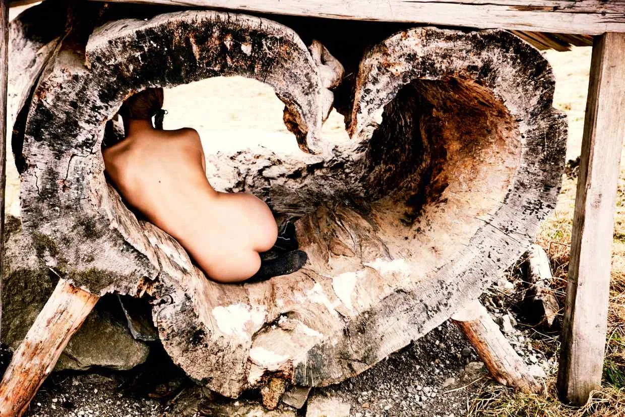 Tree of Love, Bavaria, 2015; C-Print on Fujiflex paper, 120cm x 180cm, £37,100