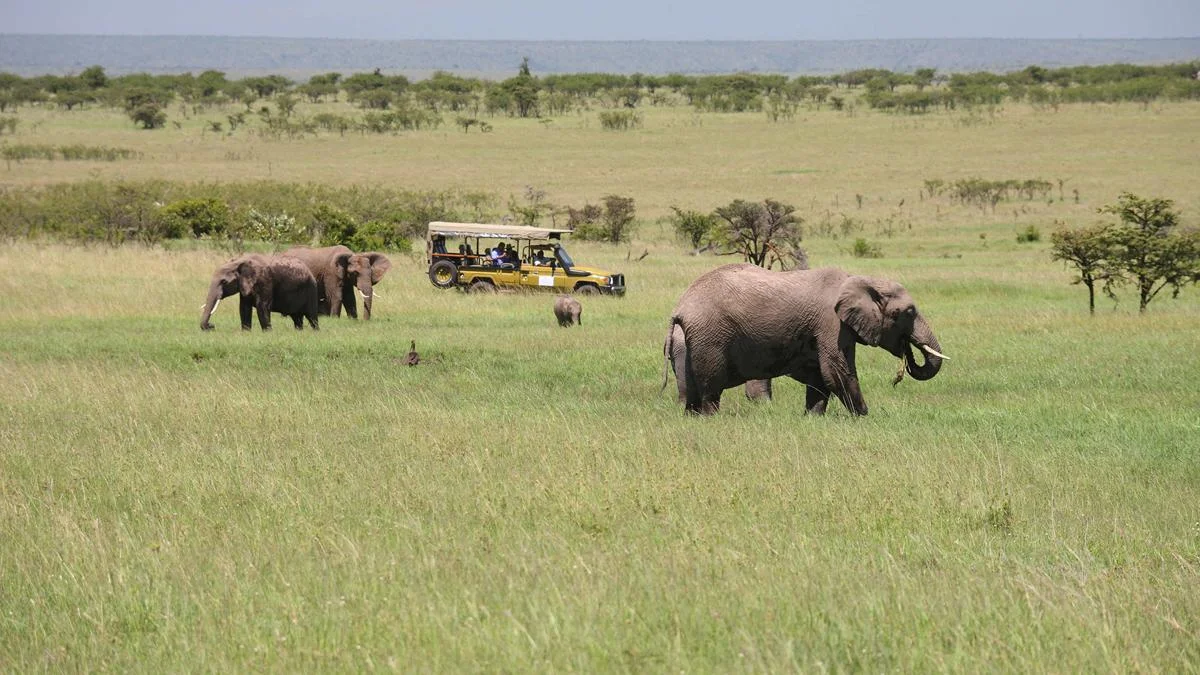 Image: Olare Mara Kempinski Masai Mara in Kenya