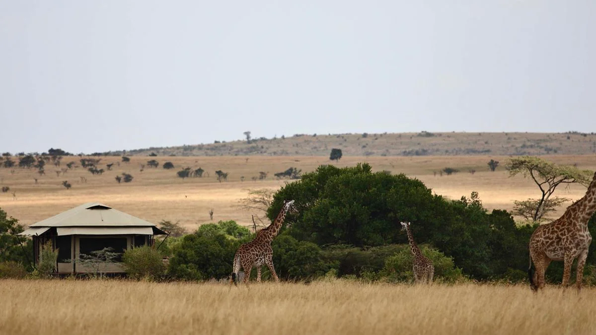 Image: Olare Mara Kempinski Masai Mara in Kenya