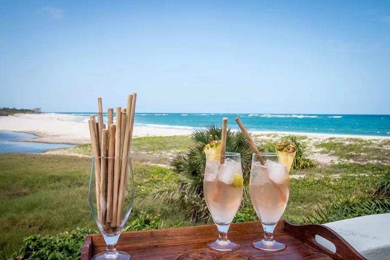 bamboo straws selous safari company.jpeg