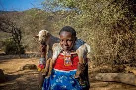 My Africa documentary elephant rescue-2.jpg