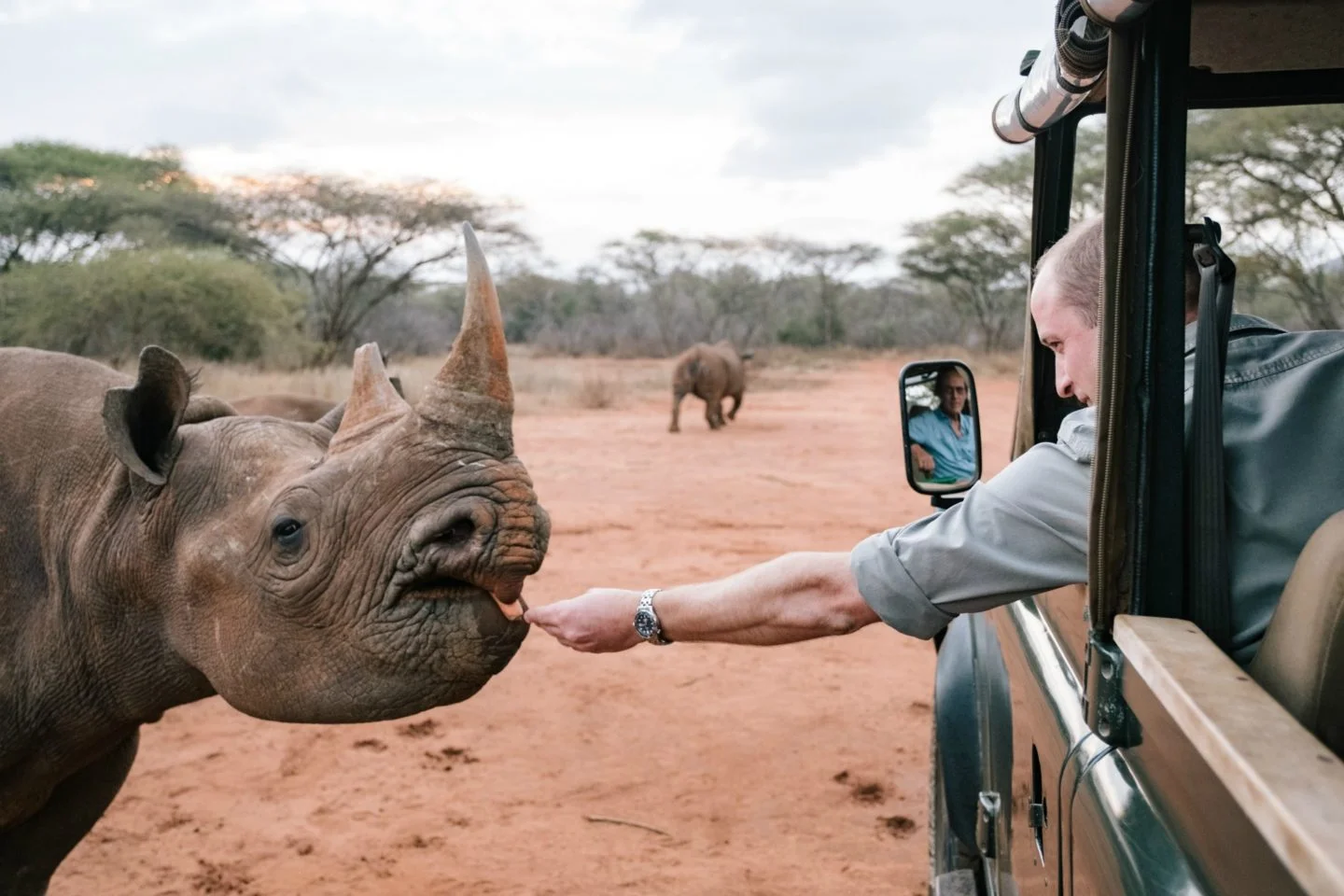 Source: HRH the Duke of Cambridge visited Mkomazi National Park to learn more about conservation efforts on the front line of a Tanzanian National Park. Mkomazi Rhino Sanctuary is working to establish a viable breeding population of 50 black rhino, whose offspring will be used to reinforce existing populations in Tanzania. via Tusk.org