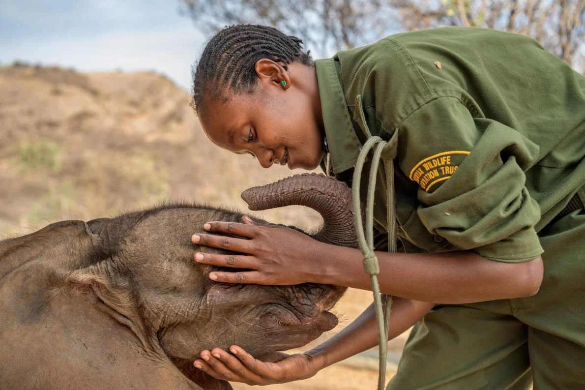 Mary Lengees, one of Reteti’s first female elephant keepers caresses Suyian, the first resident. Suyian was rescued in September 2016 when she was just four weeks old. Image by Ami Vitale for National Geographic.