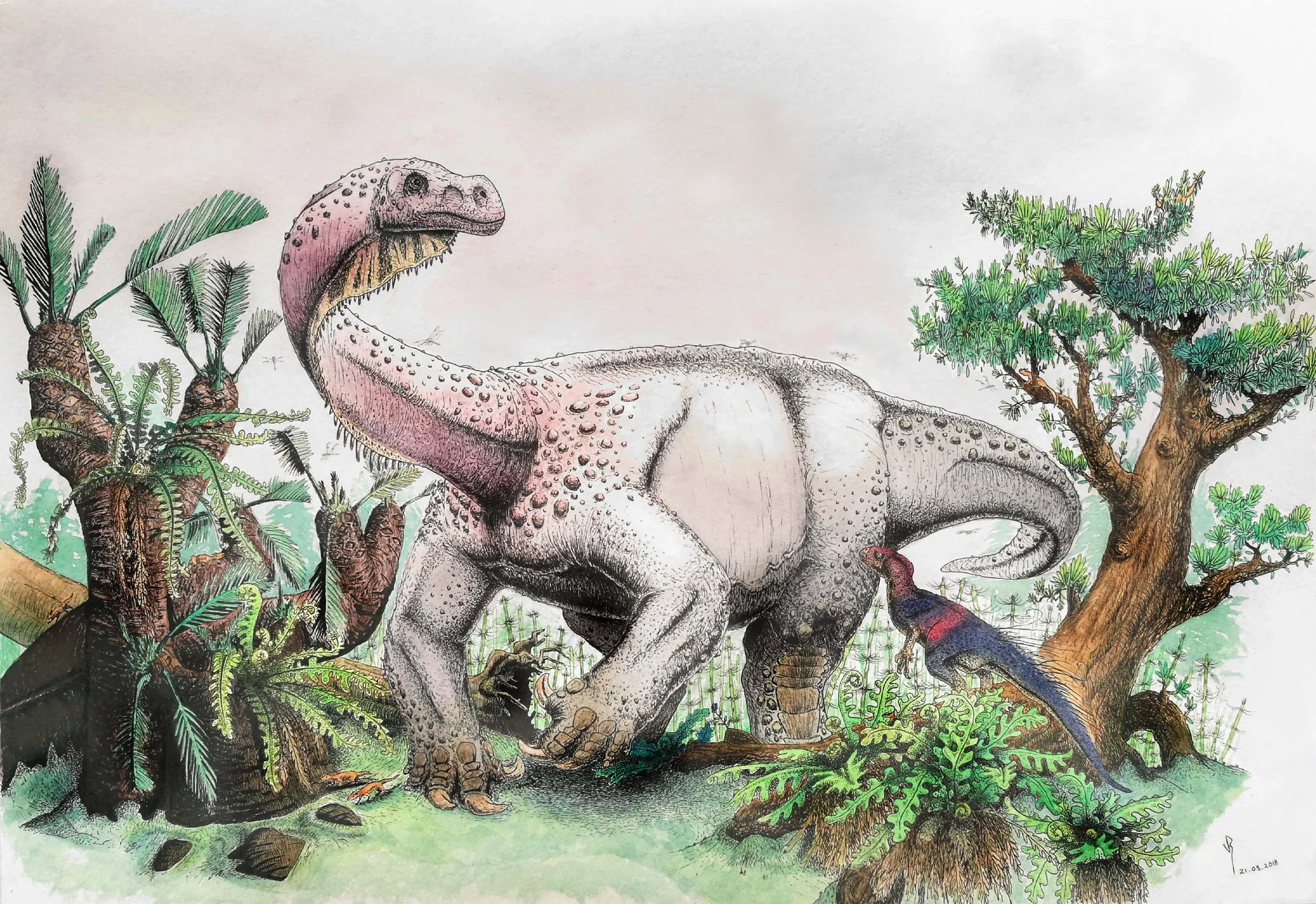 The Highland Giant : Artist Viktor Radermacher's reconstuction of what Ledumahadi mafube may have looked like. Another South African dinosaur, Heterodontosaurus tucki, watches in the foreground. Credit: Viktor Radermacher